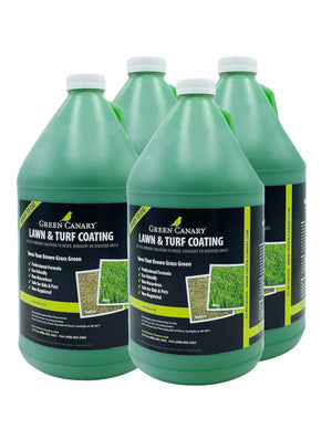 Green Canary Grass Colorant (4 x 1 Gallon)